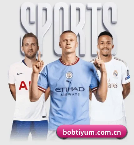 bob体育 APP