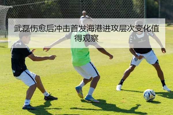 武磊伤愈后冲击首发海港进攻层次变化值得观察